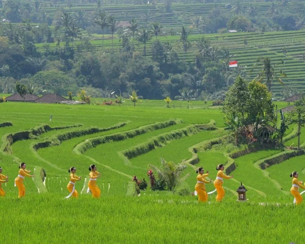 Jatiluwih Festival